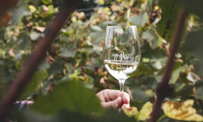 Etyek Wine Tour from Budapest | City & Wine Experience