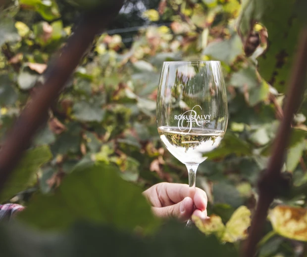 Etyek Wine Tour from Budapest | City & Wine Experience