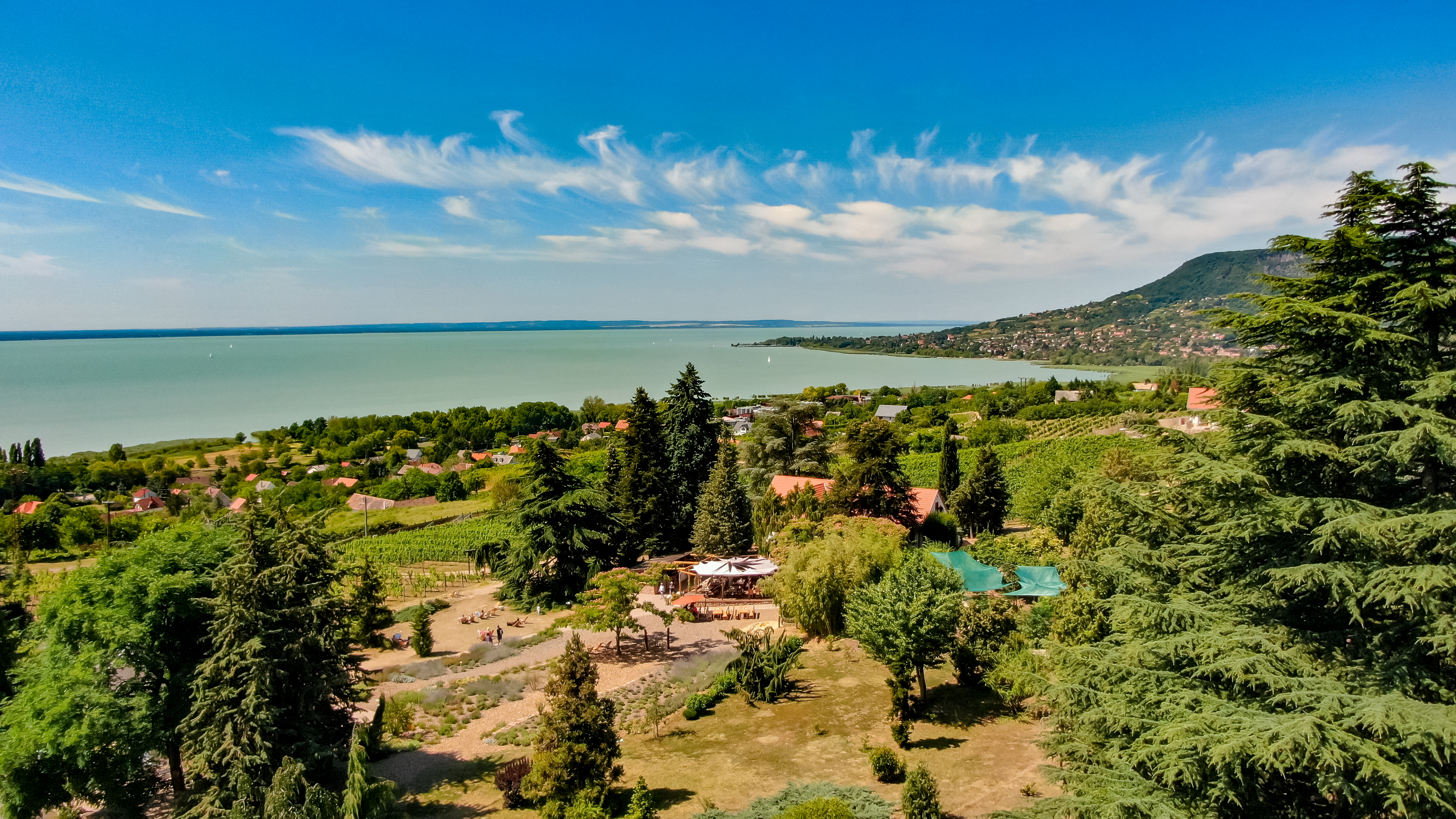 Kvízjáték - Ismerd fel! Balatoni települések - 10. kérdés: Egy arborétum, csodás kilátással, rengeteg fenyővel. Hol található? - Balatonarács, Badacsonyörs, Révfülöp, Szigliget