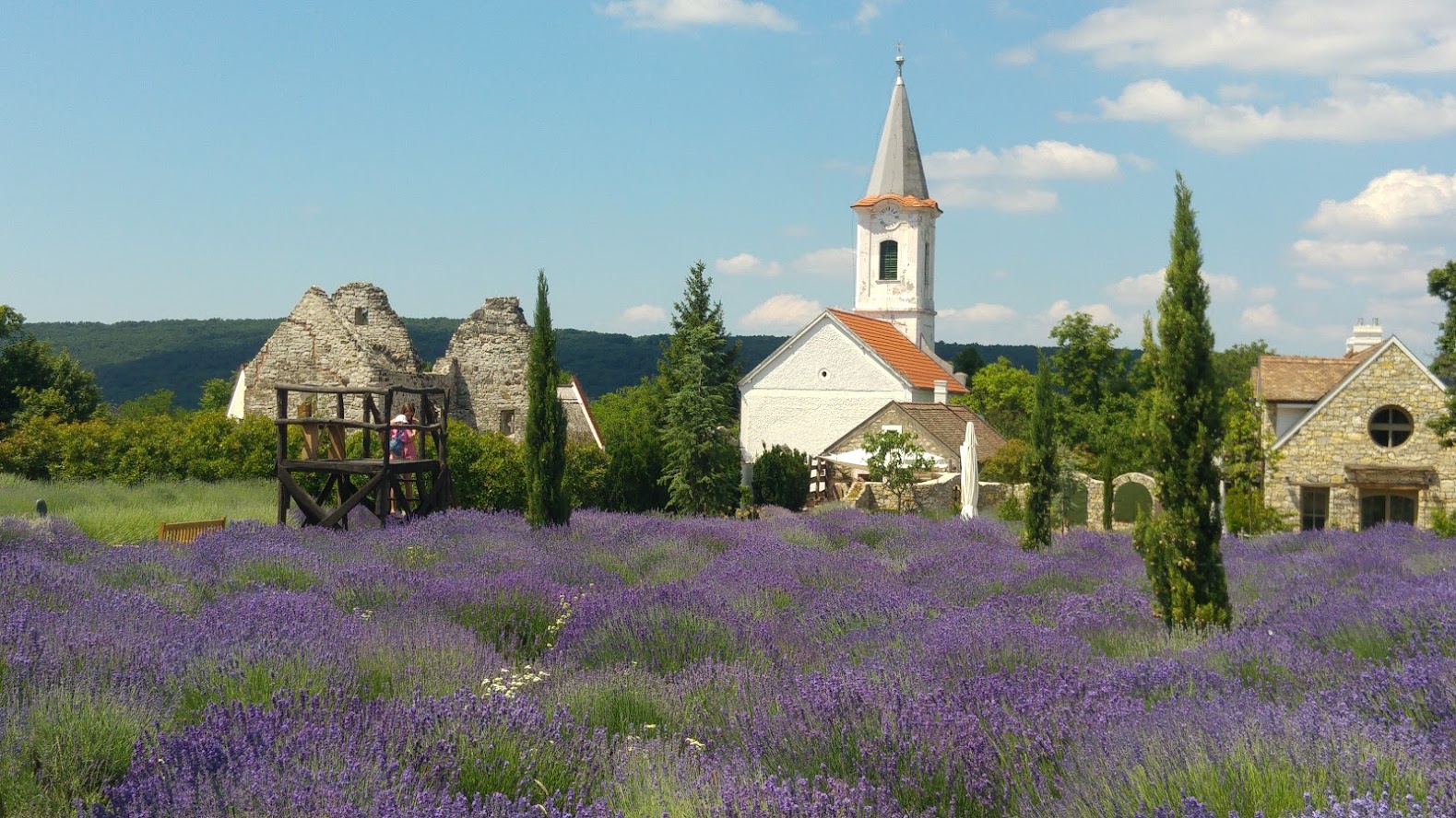 Magyarországom.hu - Kvízjáték - A nagy Balaton kvíz - 4. kérdés: Melyik parton található Dörgicse? - Északi, Déli