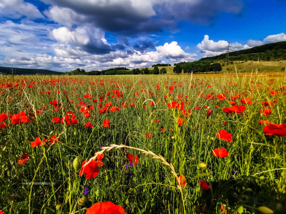 A Szent Györgyhegy az egyik legendás balatoni Tanúhegy, és annak