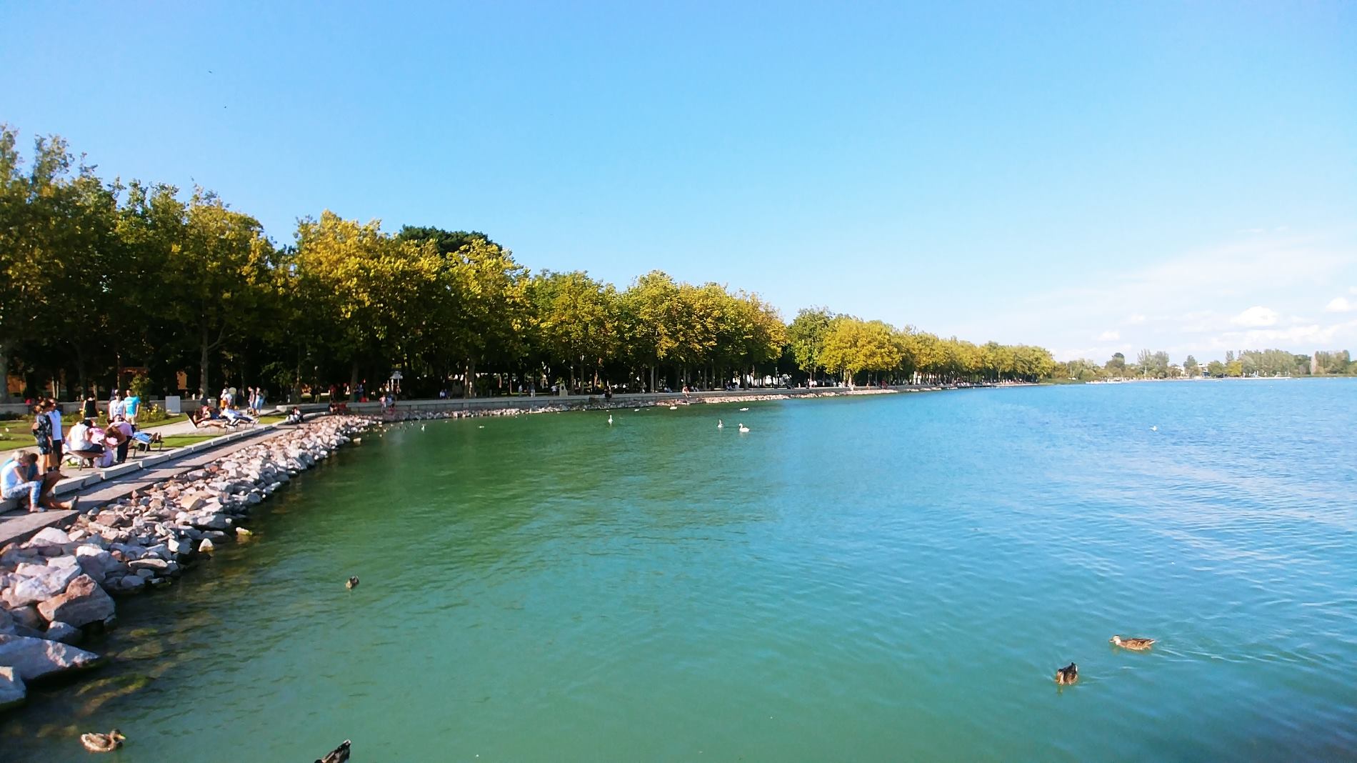 a Balaton parti csapatépítő és annak előnyei