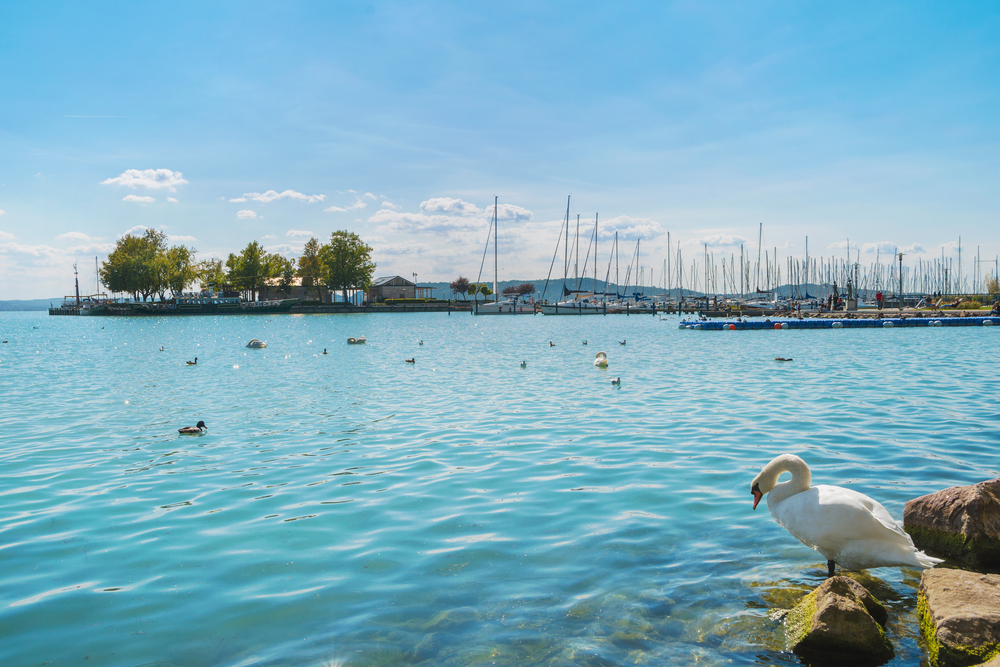 Balaton a tökéletes csapatépítő hely
