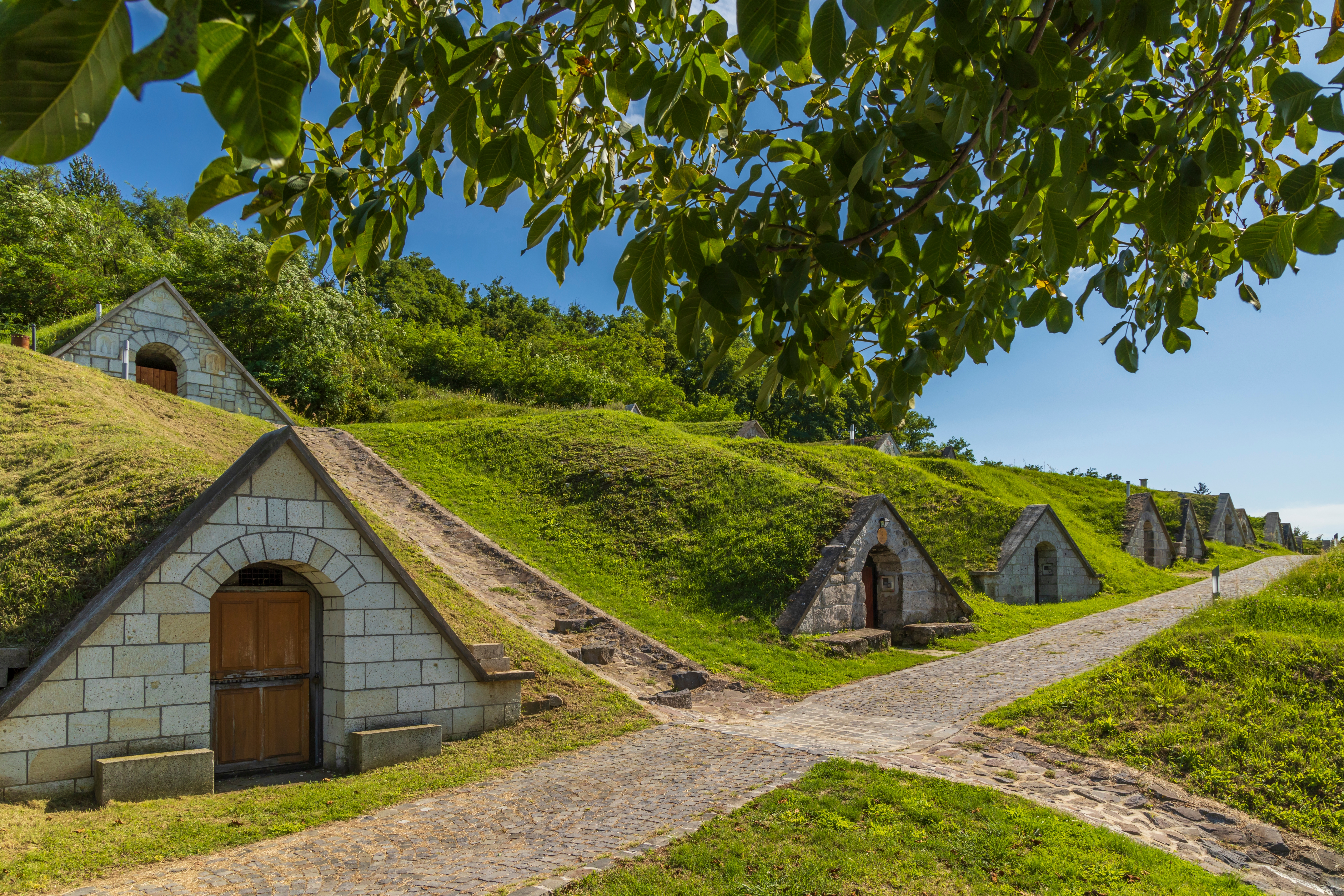 Hercegkúti pincesor az egyik legjobb tavaszi látnivaló