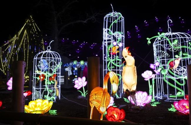 Sárkány Éve Lampion fesztivál Budapesten az Állatkertben