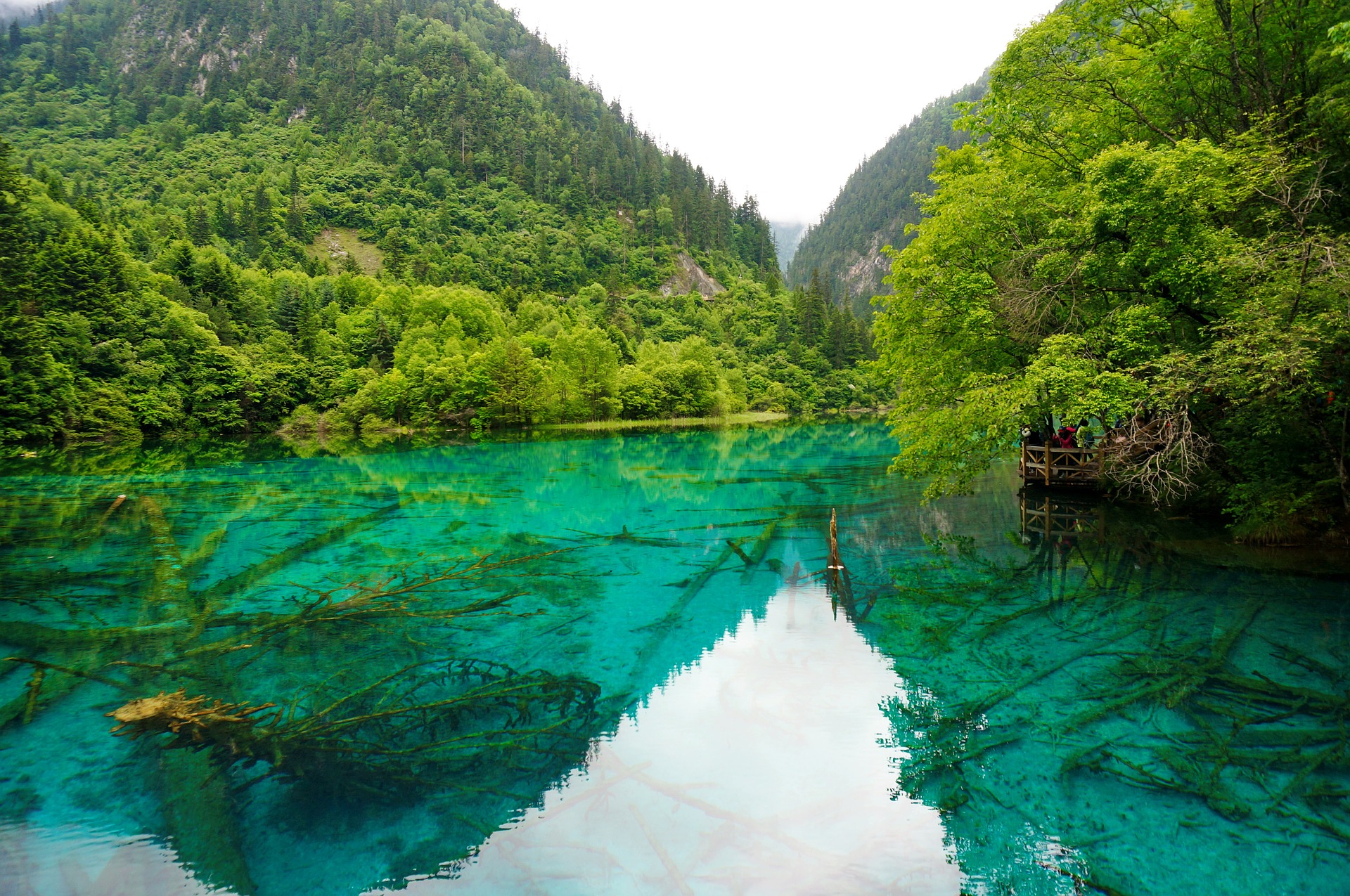 Kína, Szecsuan, Jiuzhaigou Nemzeti Park  A világ legtisztább tavai: Kína, Szecsuan, Jiuzhaigou Nemzeti Park