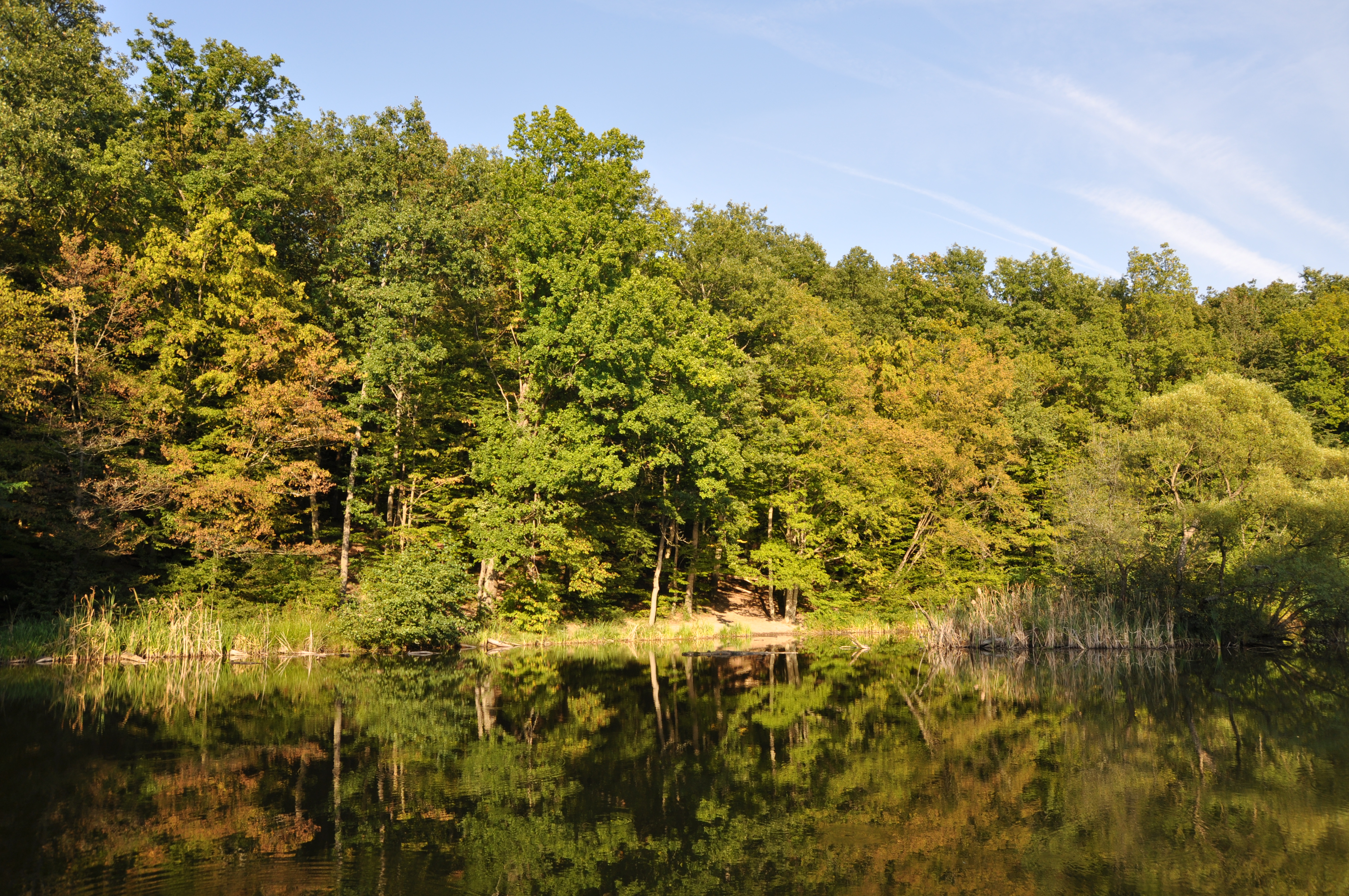 Királyrét - Kismaros - kirándulás tippek, királyréti kisvasút Királyrét - Kismaros - kirándulás tippek, királyréti kisvasút