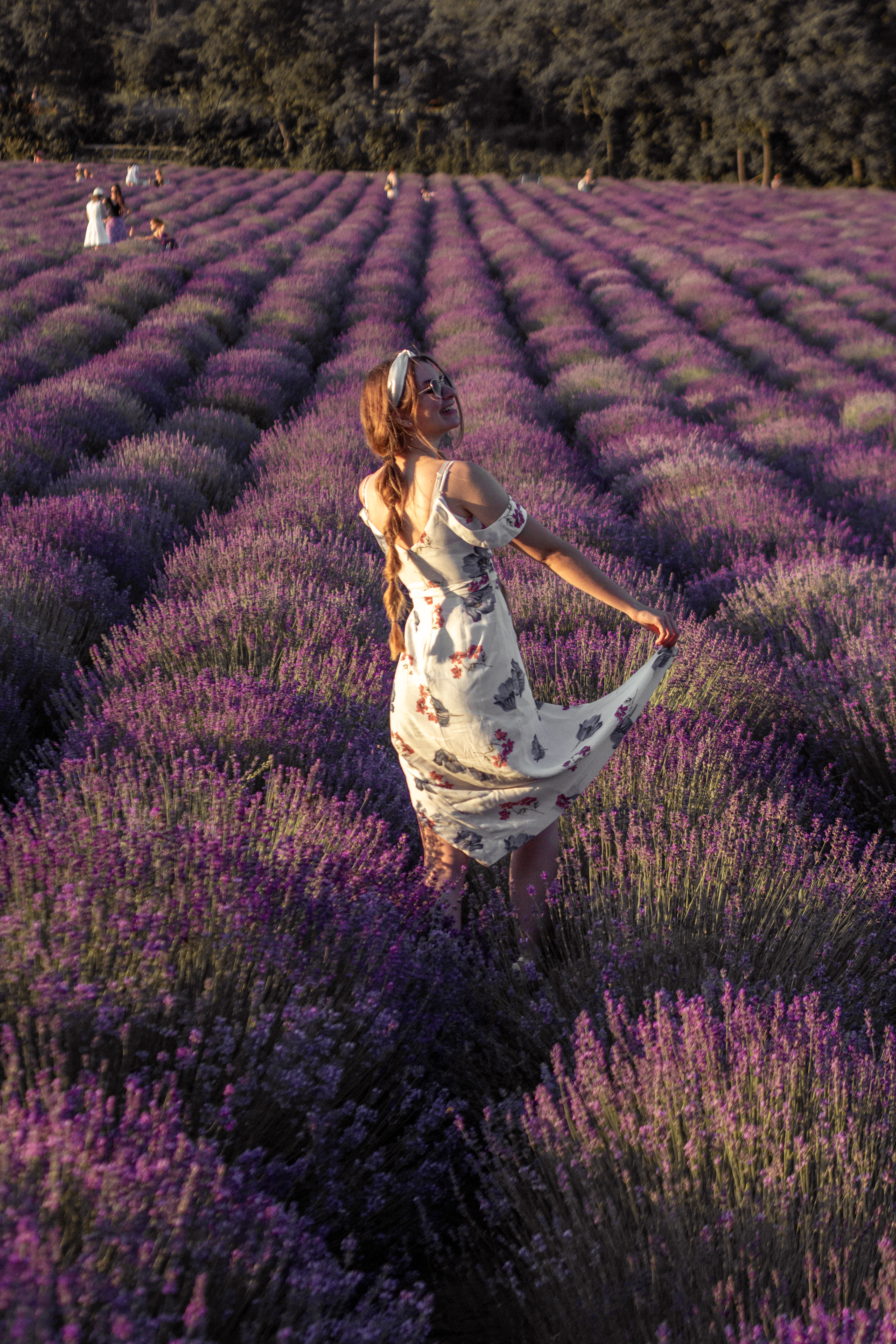 Levendulamezős lány