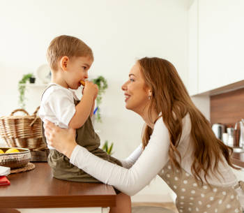 Győri háztartási keksz